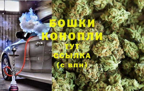 мет Ладушкин