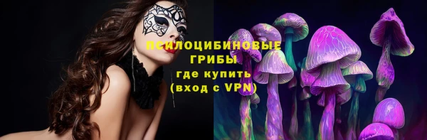 мет Ладушкин
