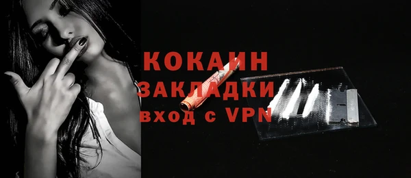мет Ладушкин