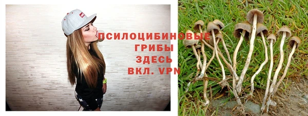бошки Лабытнанги